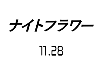 ナイトフラワー（11月28日公開）
